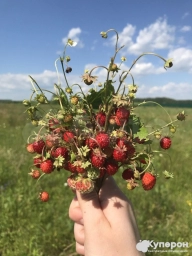 Участок 2га СНТ, ДНП