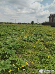 Участок 12сот. ИЖС