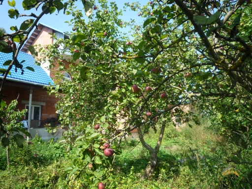 Дом, 237 м², Поселения (ИЖС), 9 сот